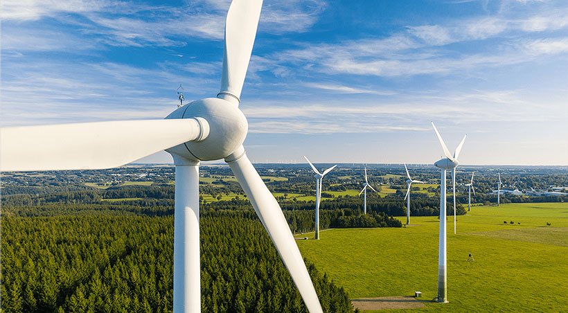 field of wind turbines against blue sky