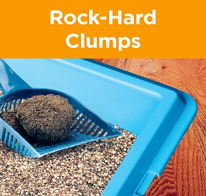 AbsorbX-Rock-Hard-Lumps